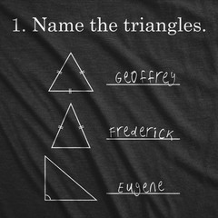 Mens Name The Triangles Funny Math T Shirt Sarcasm Novelty I Love Math Graphic