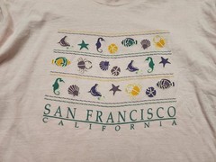 Vintage 90s San Francisco California XL Hanes Ocean Beach Single Stitch T Shirt