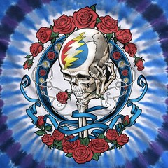 Grateful Dead Vintage Bertha Tie-Dye T-Shirt Liquid Blue