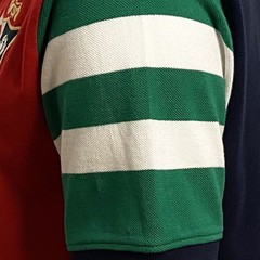 Doddie Weir Lions Polo