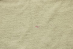 New Look Men’s Casual New Look Sunset Boulevard T Shirt DP5 Off White Large NWT