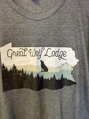 Great Wolf Lodge Grey Tshirt Mens Size Large Pa Pack Park Resort