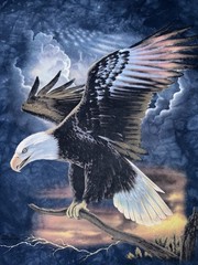 Nature USA Bald Eagle Patriotic Mens T-Shirt Size Small Blue