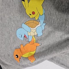 Pokémon T-Shirt Adults L Gray Graphic Pikachu Charmander Print See Measurements