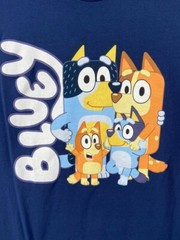 Bluey T Shirt Mens Sz XL Blue Bluey Bingo Dad Mom Characters Family Cotton