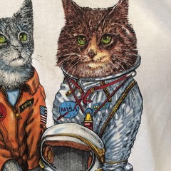 NASA Cats Shirt Mens 2XL White Delta Houston Texas Space Astronaut Graphic Tee