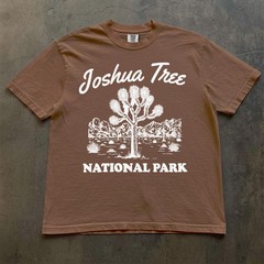 Joshua Tree National Park Comfort Tee California Desert Vacation Souvenir Shirt