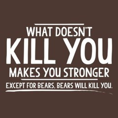 What doesn’t kill you makes you Sarcastic Humor Graphic Novelty Funny T Shirt