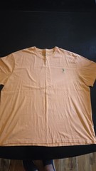 Polo Ralph Lauren Peach Mens Big 2x Classic Fit T-Shirt