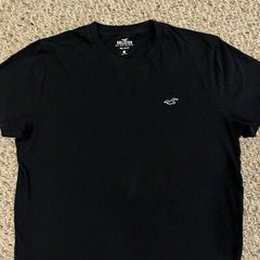 Hollister Tshirt Mens Must Have Collection Short Sleeve Shirt