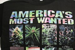MARIJUANA AMERICA’S MOST WANTED WEED CANNABIS KUSH T-SHIRT SHIRT