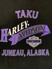 Vintage 95 Single Stitch Alaska Wildlife Flame Harley Davidson USA Made Shirt XL