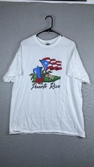 Gildan Shirt Mens XL White Puerto Rico Flag Coqui Graphic Tee T-Shirt Travel