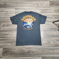 Harley Davidson Motorcycle Chandler Arizona Graphic Scorpion T Shirt Size Medium