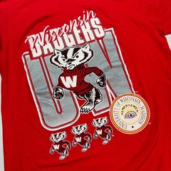 Vintage 80s 90s Wisconsin Badgers Graphic T-Shirt Sz M Single Stitch Made in USA