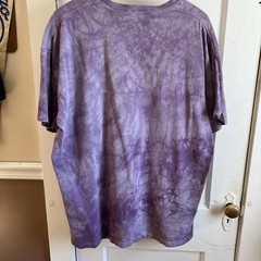 The Mountain Tie-Dye Bald Eagle Distressed Faded Purple T-Shirt XL