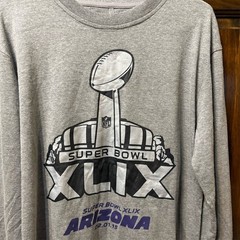 NFL Team Apparel T-Shirt Mens L Heather Gray Super Bowl XLIX Arizona