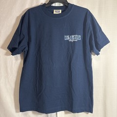 Pacsun Pacific Sunwear T-Shirt Men’s Small Blue Graphic NWT