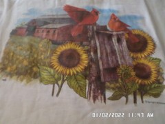 NEW T-Shirt: 2 Cardinals w/ Barn Scene & Sunflowers (LOTS of Colors & Sizes)