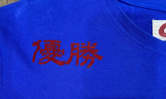 Iro-Ochi Japanese Graphic Dragon Mens Shirt Blue Red Tokyo M Embroidered Velvet