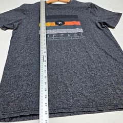 Rip Curl T Shirt Mens Large Gray The Search Graphic Short Sleeve Surf Skate Tee
