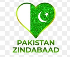 Pakistan independence day T-Shirt Crew Neck uni sex