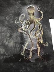 Octopus Pacific Marine Aquatic Eight Tentacles Animal The Mountain T-Shirt S-4X