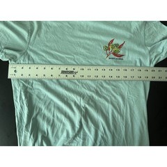 Banks Journal Mens Organic Cotton Graphic T-Shirt Seafoam Green Size Medium