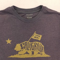 Billabong California Crew Neck Short Sleeve Graphic T Shirt Mens Size M Gray