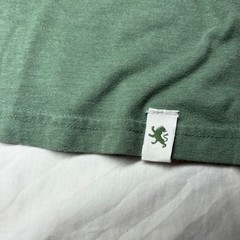 Cactus Man Sueded V Neck T Shirt Green Lion Logo Short Sleeve Men’s Size L