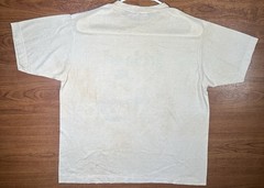 Vintage 80s Ireland Slainte Leprechaun Mushroom T Shirt Mens M Distressed 15