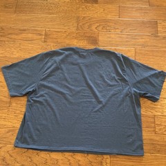Carhartt Men’s 4XL Big & Tall Navy Loose Fit Graphic Logo Crew Neck T-Shirt