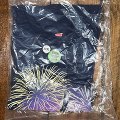 Disney Magic Kingdom Wishes Fireworks Farewell 2017 Passholder Glow in Dark 3XL