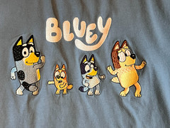 BLUEY Short Sleeve T SHIRT Bandit Bingo Bluey Chilli Embroidered BOX LUNCH Large