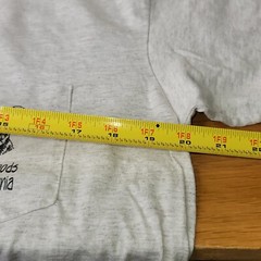 Vintage Get On The Wild Side T-shirt Sz L Single Stitch Gray Cotton Made In USA