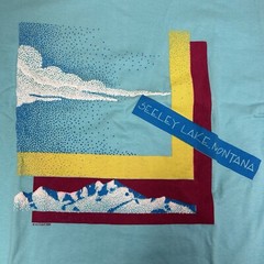 VTG New Stedman Hi Cru T-shirt Men Seeley Lake Montana Puff Paint Sz L USA 80s