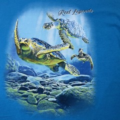 Reel Legends woman’s Medium Turquoise Sea Turtle Graphic T-Shirt EUC