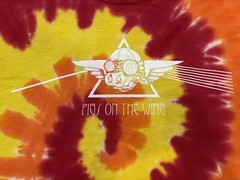 Vintage Y2K Pink Floyd Tie Dye Pigs On The Wing Band Shirt Port & Company Large