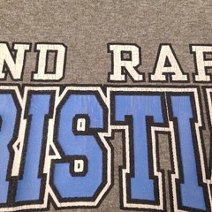 Nike Grand Rapids Christian Eagles T-Shirt Mens Teens XL Gray Dri Fit Sports