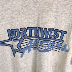 Vintage Single Stitch T shirt Screen Stars USA XL Northwest Allstars Marled Gray