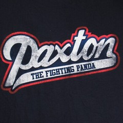 The Fighting Panda Shirt Mens Small Blue Long Sleeve T Shirt Pullover Cotton NWT