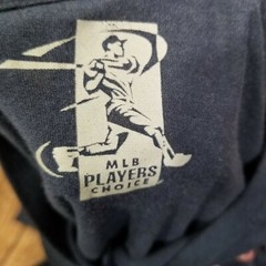 Canvas MLB Players Choice District of Champions Tshirt Mens 3XL XXXL Blue DC