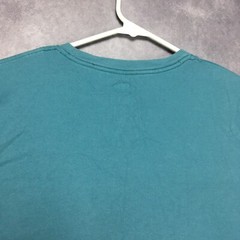 The North Face Mens Graphic T Shirt Adult size Large Teal Blue Short Sleeve Tee