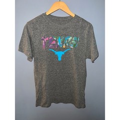 Authentic Apparel We Are Texas Longhorns Graphic T-Shirt Grey Cyan Small