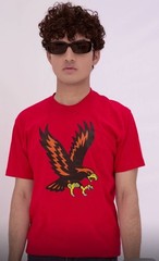 Men’s Graphic T-Shirts 5 Pack Mystery 100% Cotton Tees GREAT VALUE! Comfort Wear