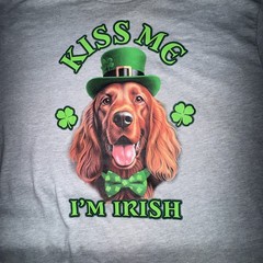 Way To Celebrate St Patrick’s Day T-Shirt Men Light Grey Size 2XL NWOT