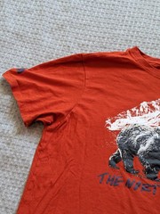 The North Face Shirt Mens XL Orange Bear Mountain Graphic Tee Nature Outdoor