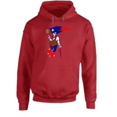 Boston New England Sports Teams Hoodie Unisex Patriots Bruins Red Sox Sweatshirt