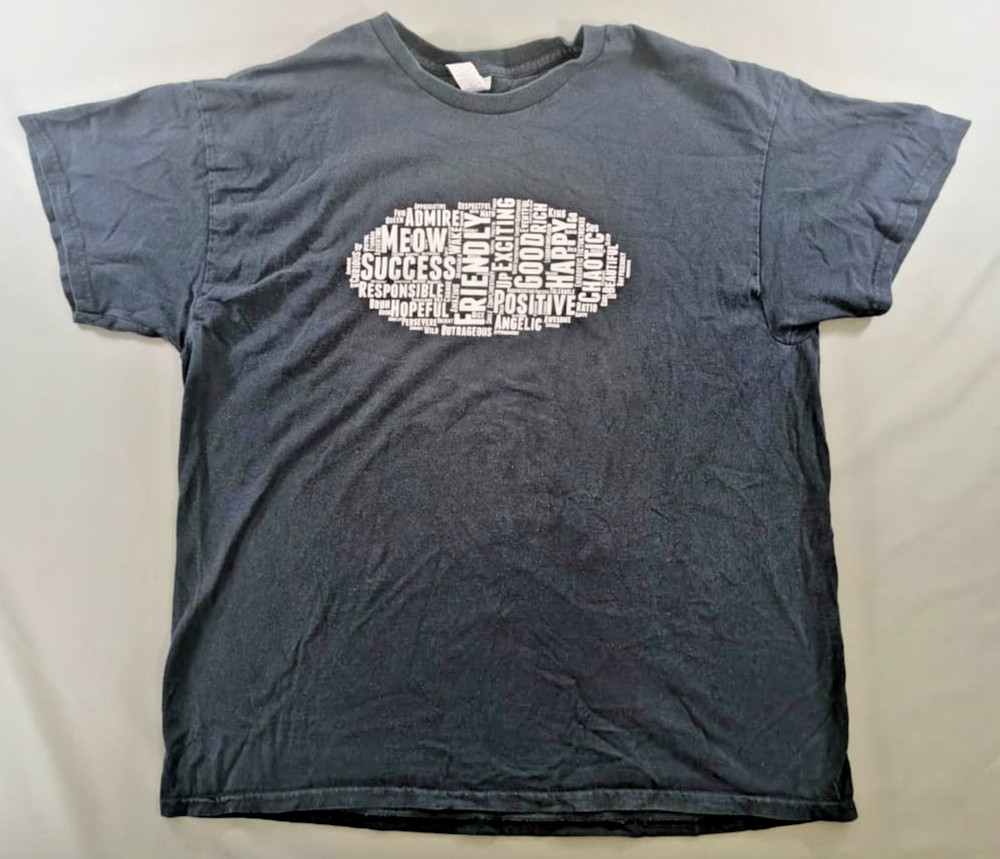 Gildan Word Cloud Positive Affirmation Graphic T-Shirt Meow Bruh Y2K Men XL