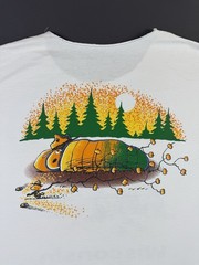 Rare Vintage 90s Peanuts Snoopy Wisconsin Outdoor Camping Bonfire Art Cartoon T